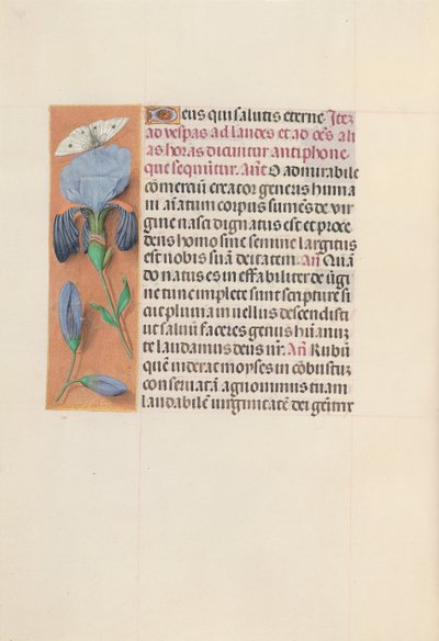 Stundenbuch der Königin Isabella die Katholische, Königin von Spanien: Fol. 165v, um 1500 von Master of the First Prayerbook of Maximillian