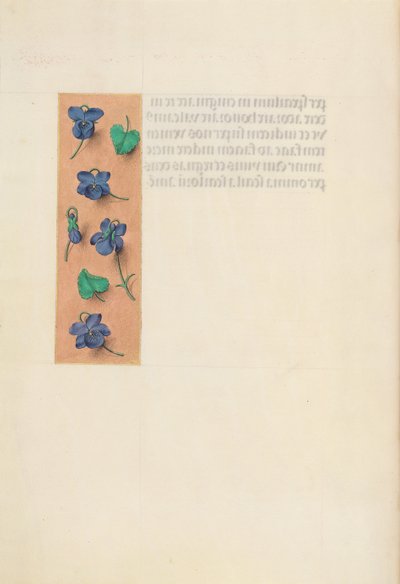 Stundenbuch der Königin Isabella der Katholischen, Königin von Spanien: Fol. 16v, Kurzer Rand, um 1500 von Master of the First Prayerbook of Maximillian