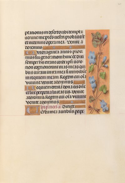 Stundenbuch der Königin Isabella der Katholischen, Königin von Spanien: Fol. 227r, um 1500 von Master of the First Prayerbook of Maximillian