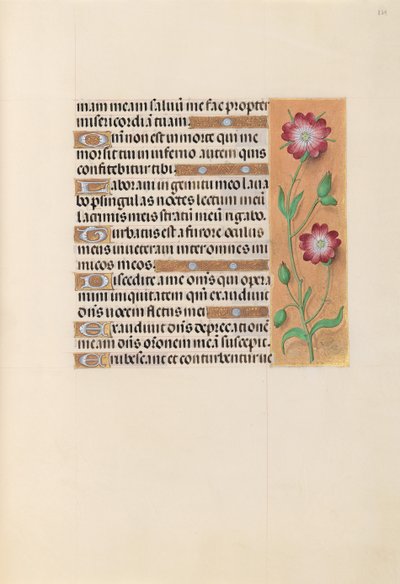Stundenbuch der Königin Isabella der Katholischen, Königin von Spanien: Fol. 229r, ca. 1500 von Master of the First Prayerbook of Maximillian