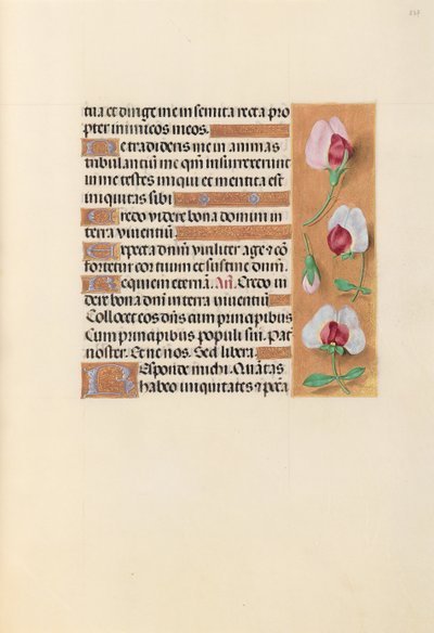 Stundenbuch der Königin Isabella die Katholische, Königin von Spanien: Fol. 237r, ca. 1500 von Master of the First Prayerbook of Maximillian