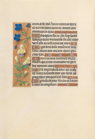 Stundenbuch der Königin Isabella der Katholischen, Königin von Spanien: Fol. 241v, um 1500 von Master of the First Prayerbook of Maximillian