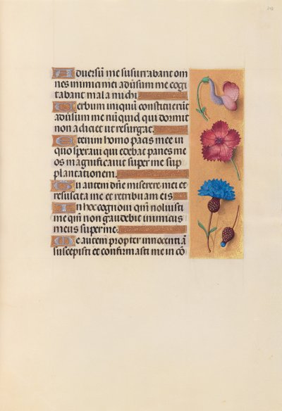 Stundenbuch der Königin Isabella der Katholischen, Königin von Spanien: Fol. 242r, ca. 1500 von Master of the First Prayerbook of Maximillian