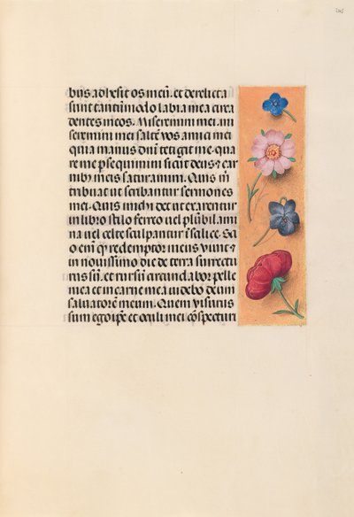 Stundenbuch der Königin Isabella der Katholischen, Königin von Spanien: Fol. 245r, um 1500 von Master of the First Prayerbook of Maximillian