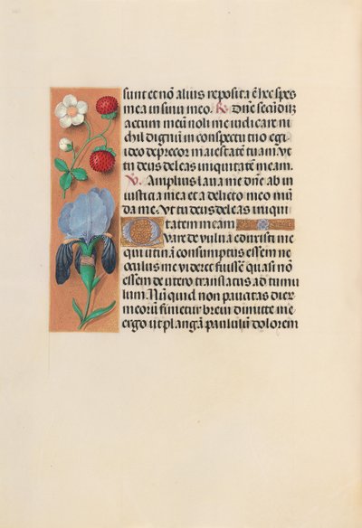 Stundenbuch von Königin Isabella der Katholischen, Königin von Spanien: Fol. 245v, ca. 1500 von Master of the First Prayerbook of Maximillian
