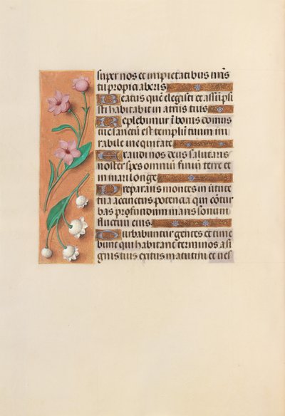 Stundenbuch der Königin Isabella der Katholischen, Königin von Spanien: Fol. 248v von Master of the First Prayerbook of Maximillian