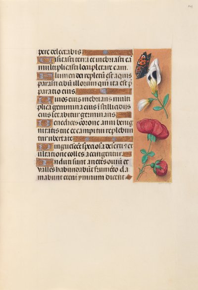 Stunden der Königin Isabella der Katholischen, Königin von Spanien: Fol. 249r, um 1500 von Master of the First Prayerbook of Maximillian