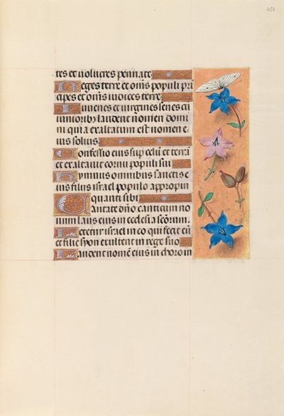 Stundenbuch der Königin Isabella die Katholische, Königin von Spanien: Fol. 253r, um 1500 von Master of the First Prayerbook of Maximillian