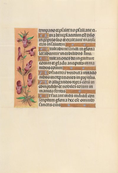 Stundenbuch der Königin Isabella die Katholische, Königin von Spanien: Fol. 253v, ca. 1500 von Master of the First Prayerbook of Maximillian