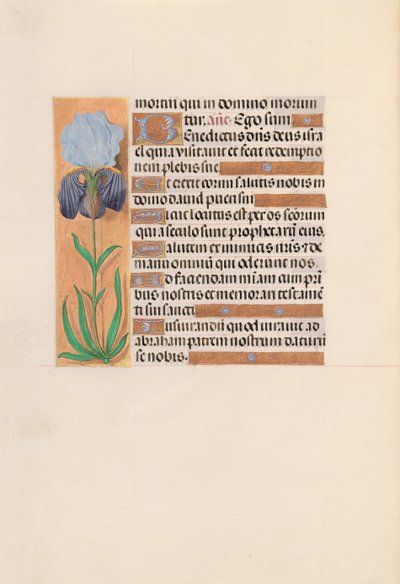 Stundenbuch der Königin Isabella der Katholischen, Königin von Spanien: Fol. 254v, um 1500 von Master of the First Prayerbook of Maximillian