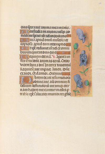 Stunden der Königin Isabella der Katholischen, Königin von Spanien: Fol. 256r, um 1500 von Master of the First Prayerbook of Maximillian