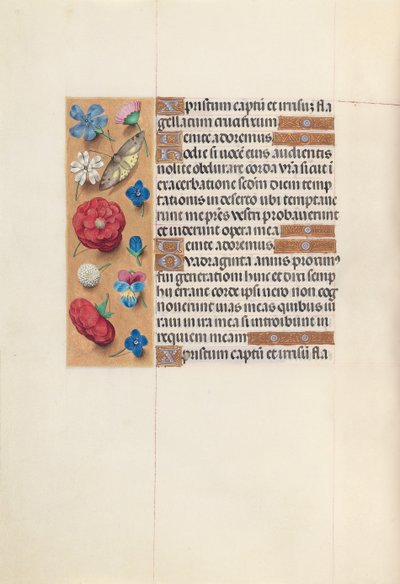 Stundenbuch der Königin Isabella der Katholischen, Königin von Spanien: Fol. 51v, ca. 1500 von Master of the First Prayerbook of Maximillian