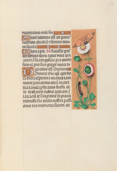 Stundenbuch der Königin Isabella der Katholischen, Königin von Spanien: Fol. 76r, um 1500 von Master of the First Prayerbook of Maximillian