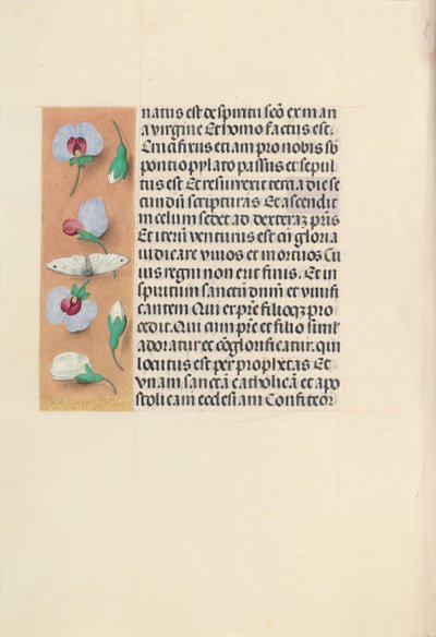 Stundenbuch der Königin Isabella der Katholischen, Königin von Spanien: Fol. 91v, um 1500 von Master of the First Prayerbook of Maximillian
