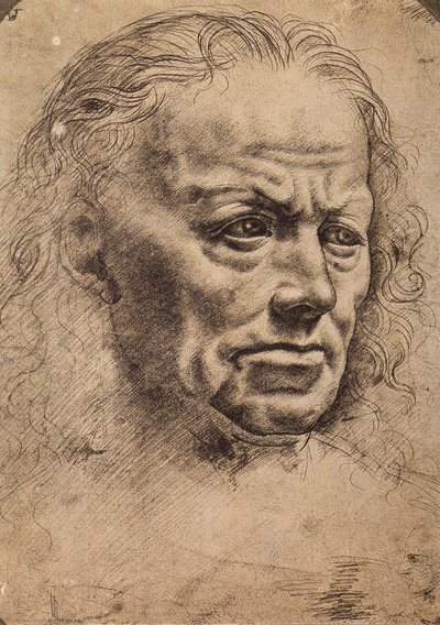Kopf eines Mannes von Master of the Pala Sforzesca
