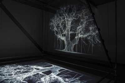 Albion von Mat Collishaw