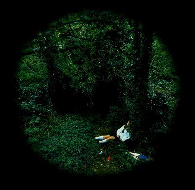 Erwachen des Gewissens, Kateline von Mat Collishaw