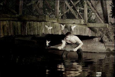 Feen fangen 4 von Mat Collishaw