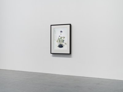 Columbine von Mat Collishaw