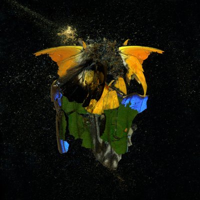 Insektizid 14, 2009 von Mat Collishaw