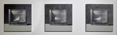 Operante Konditionierungskammer 3, 2022 von Mat Collishaw