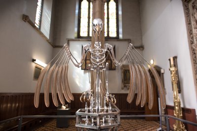 Das Nervenregal von Mat Collishaw