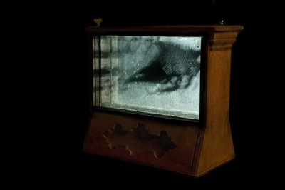 Wurmfarm von Mat Collishaw