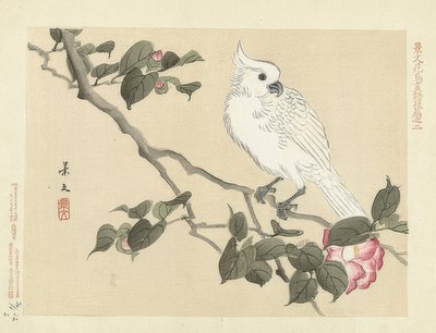 Weißer Kakadu auf einem Kamelienzweig von Matsumura Keibun