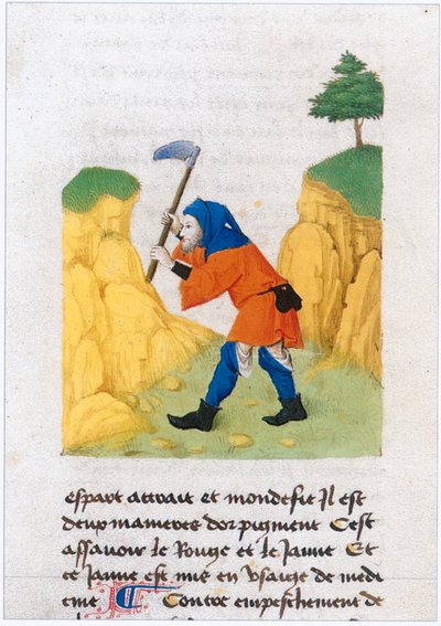 Le Livre des simples medecines - Übersetzung ins Französische aus dem lateinischen Manuskript des 12. Jahrhunderts von Matthaeus Platearius von Matthaeus Platearius