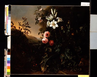 Stillleben von Matthias Withoos