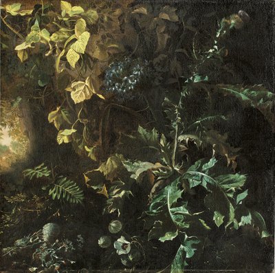Disteln und andere Pflanzen auf einem Waldboden, eine Landschaft dahinter, Fragment von Matthias Withoos