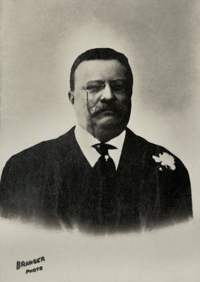 Porträt von Theodore Roosevelt, Präsident der Vereinigten Staaten von Maurice-Louis Branger