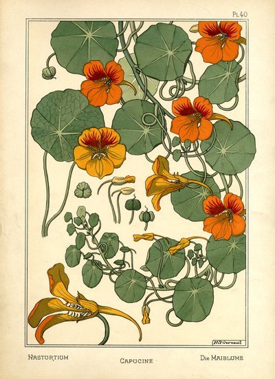 Die Kapuzinerkresse von Maurice Pillard Verneuil
