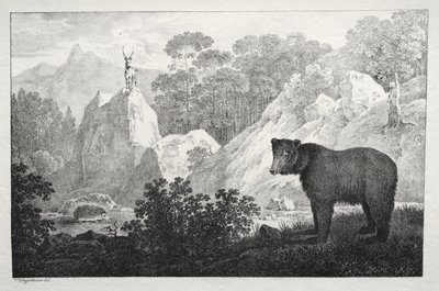 Gebirgslandschaft mit Bär im Vordergrund von Maximilian Josef Wagenbauer
