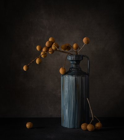 Longan Stillleben von May G