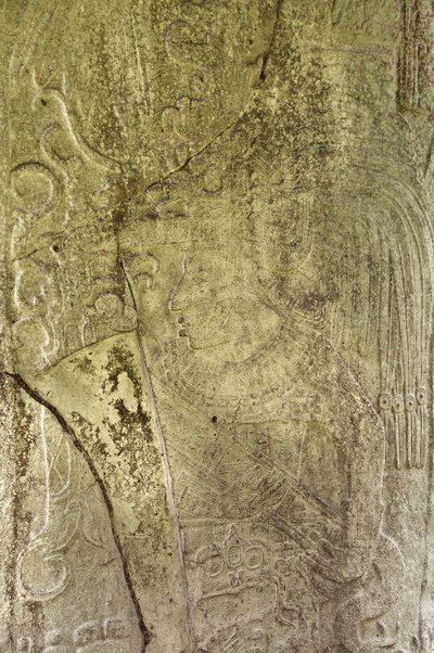 Detail der Stela 9, die Ajb’alun Haab’tal Wat’ul K’atel darstellt, Terminal Classic König aus Ceibal, Guatemala, zur Erinnerung an das Ende des 9. Katun im Jahr 849 n. Chr. (Detail) von Mayan