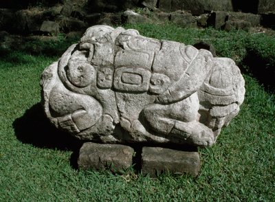 Zoomorpher Altar, in einen Block aus Sandstein gehauen von Mayan