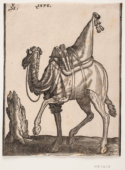 Ein gesatteltes Dromedar, Profil nach links, mit dem Kopf des Tieres vom Betrachter abgewandt von Melchior Lorck