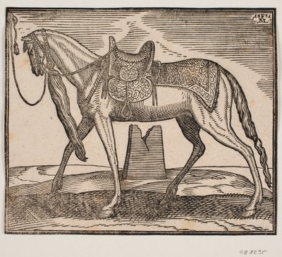 Elegantes gesatteltes Pferd, angebunden an der linken Rahmenlinie, Profil nach links; unter dem Bauch des Pferdes sieht man eine Ruine von Melchior Lorck
