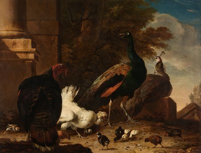Eine Henne mit Pfauen und einem Truthahn von Melchior d