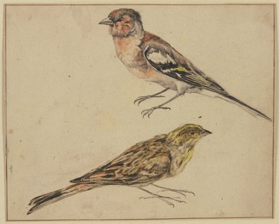 Ein Distelfink und ein Hänfling von Melchior de Hondecoeter