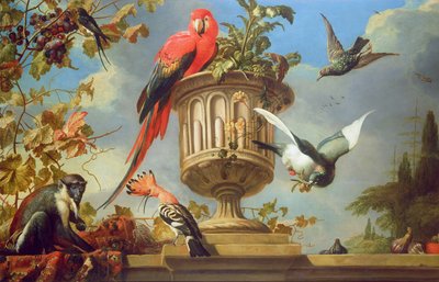 Scharlachsittich auf einer Urne, mit anderen Vögeln und einem Affen, der Trauben isst von Melchior de Hondecoeter