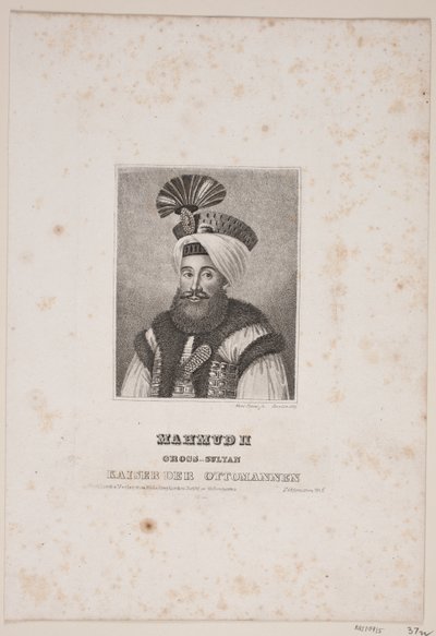 Mahmud II von Meno Haas
