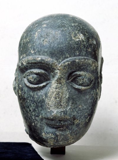 Kopf eines Mannes, bekannt als Gudea mit rasiertem Kopf, aus Telloh (Antikes Girsu) Neo-Sumerisch, ca. 2120 v. Chr. von Mesopotamian