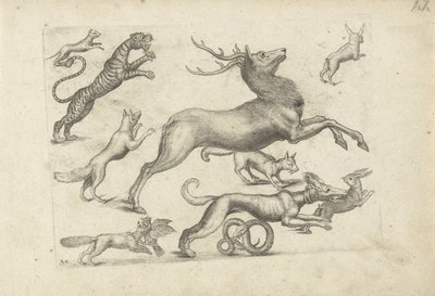 Studienblatt mit Zeichenbeispielen: verschiedene Tiere von Michael Snijders (attributed to)