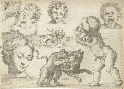 Studienblatt mit Zeichenbeispielen: Köpfe und kämpfende Tiere (Serie) von Michael Snijders