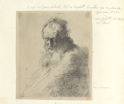 Büste eines alten Mannes mit Bart von Michael Willmann (attributed to)