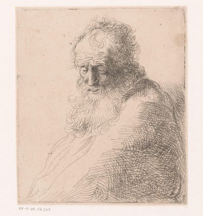Büste eines alten Mannes mit Bart von Michael Willmann (attributed to)