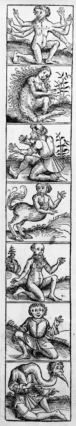Monster aus der 