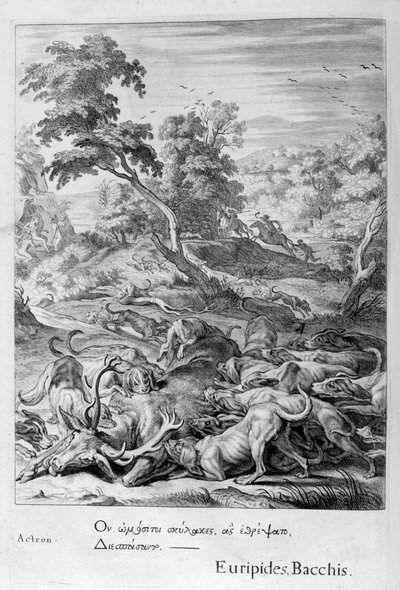 Actaeon wird in einen Hirsch verwandelt und von seinen Hunden verschlungen von Michel de Marolles